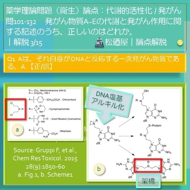 スライド8
