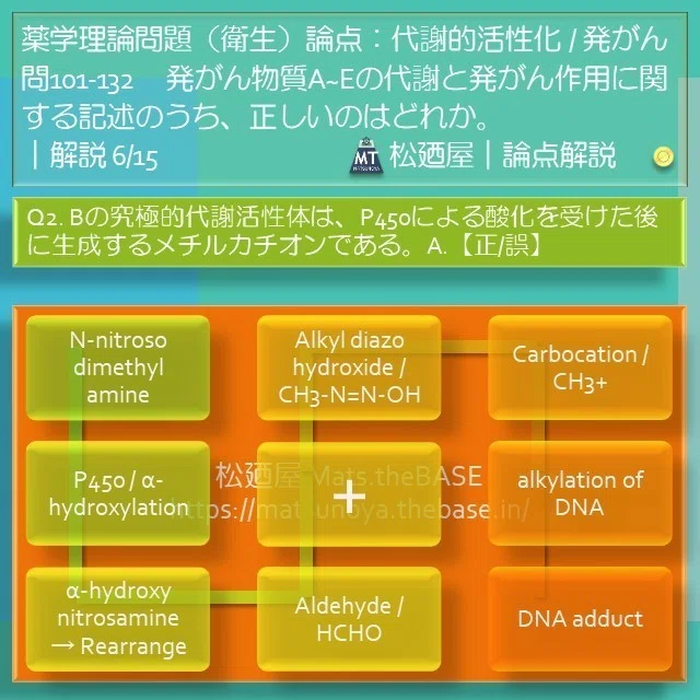 スライド11