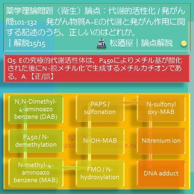 スライド22