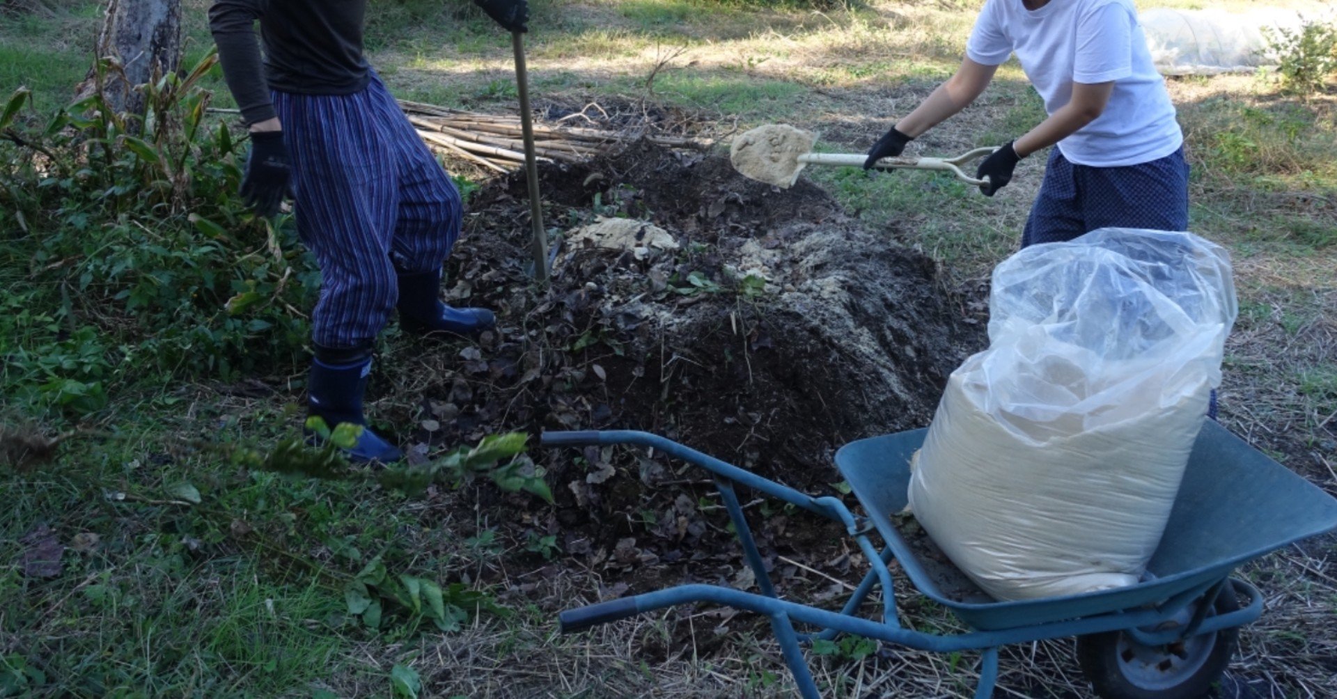 雑草堆肥をつくる Hagiya Farm はぎや農園 Note 雑草堆肥をつくる Hagiya Farm はぎや農園 Note