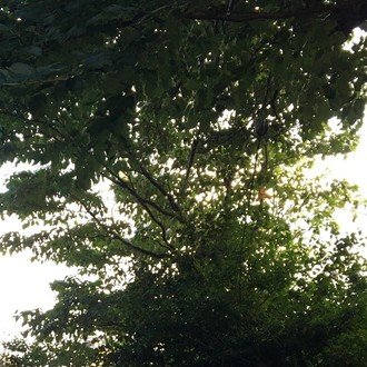 Pixivのui変更と 好きを仕事に 世界観のしんどさについて Yan Note Pixivのui変更と 好きを仕事に 世界観のしんどさについて Yan Note