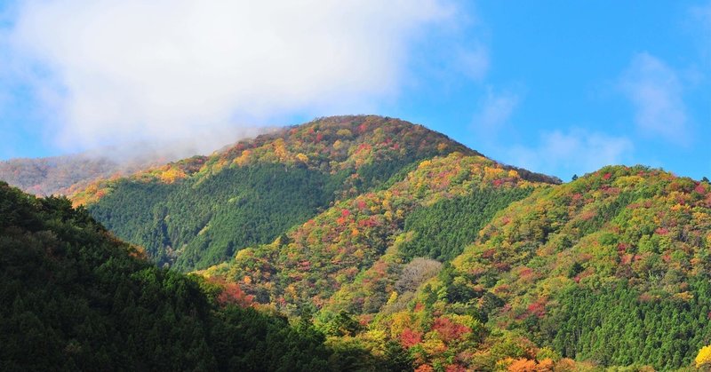 奥多摩の景色027