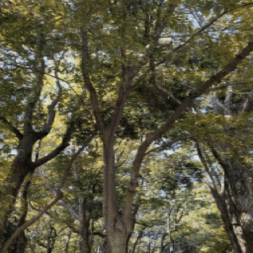 Aiで一足お先に紅葉狩り Tokyoyoshida Note