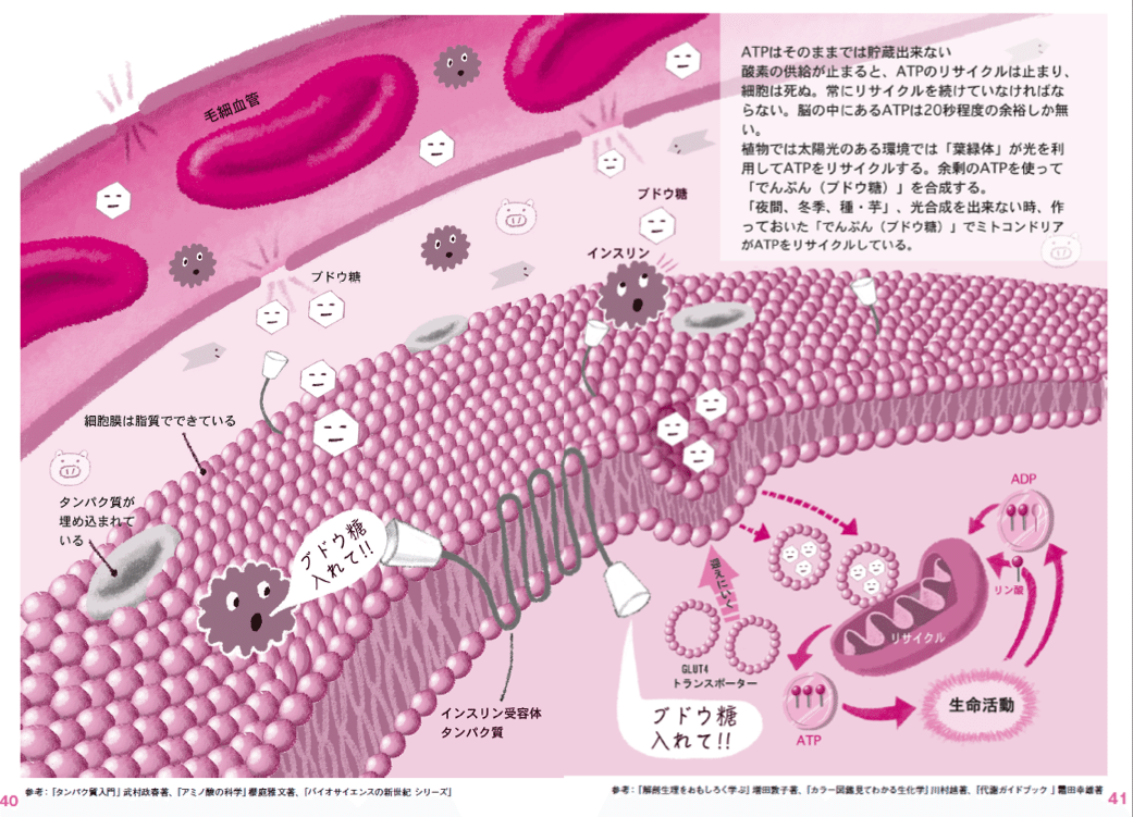 スクリーンショット 2020-05-30 12.26.11