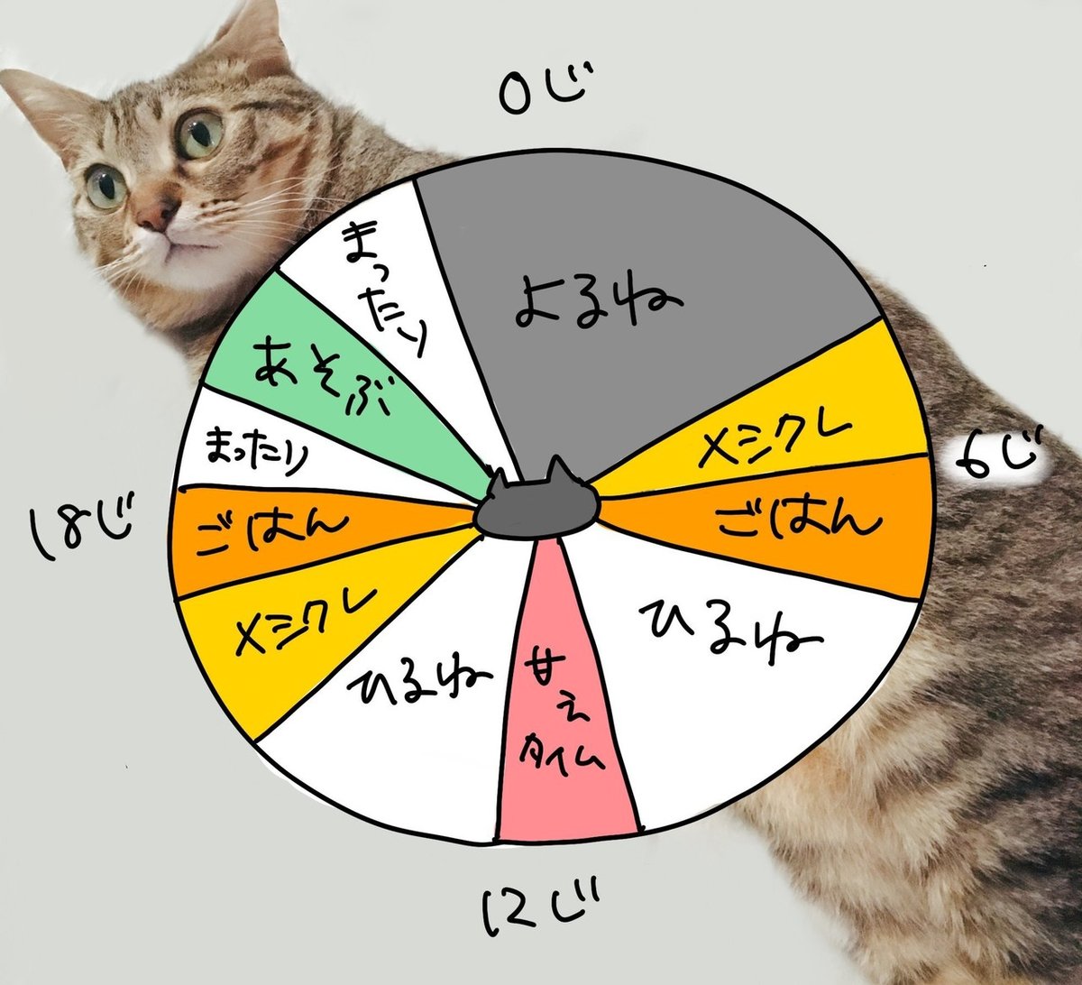在宅勤務を続けて分かった猫の1日のスケジュール｜きじくろ