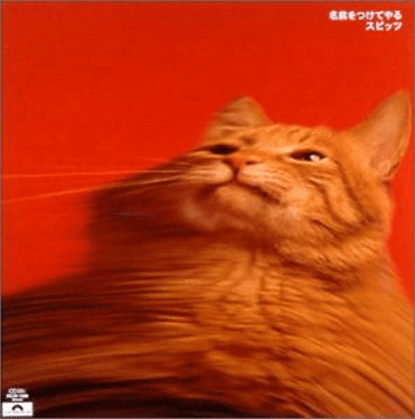 スピッツ 名前をつけてやる Masayuki Note スピッツ 名前をつけてやる Masayuki Note