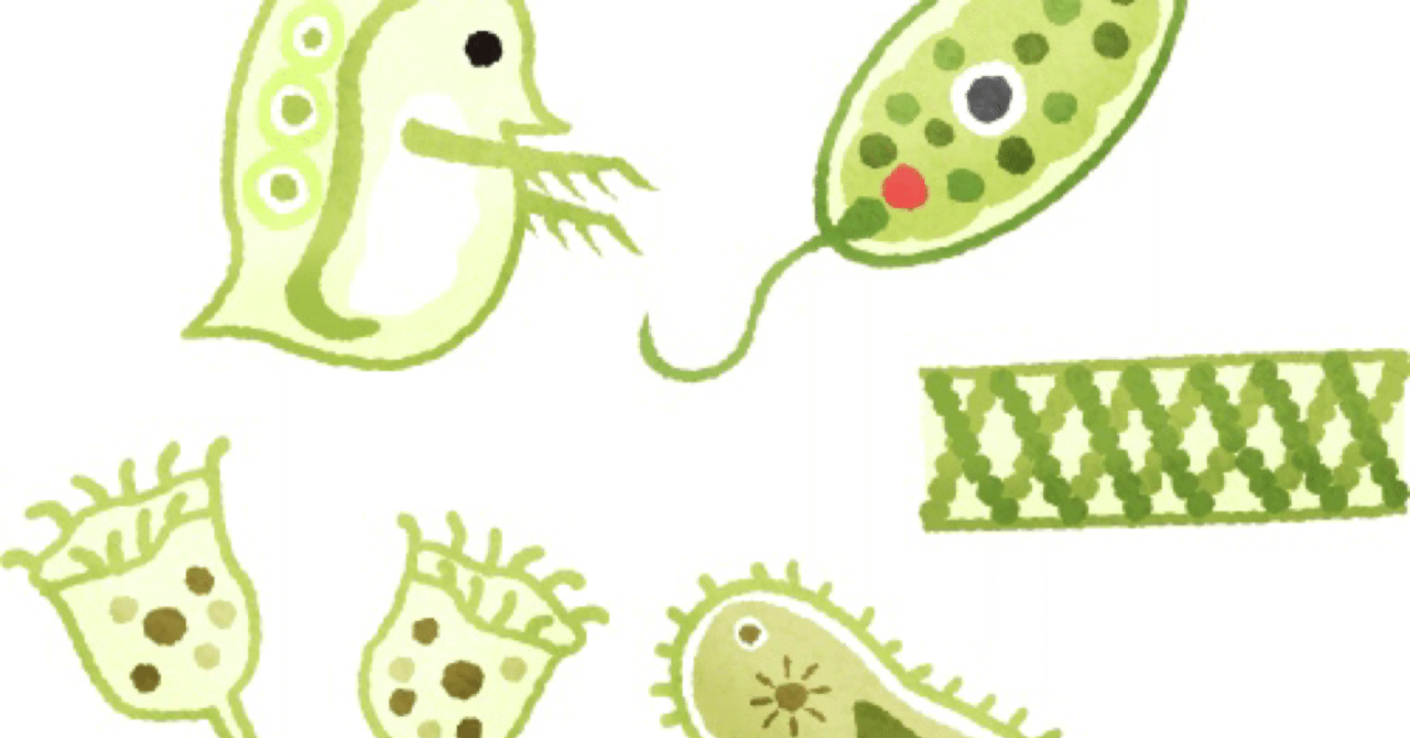 002 原生生物ってスゴい Pino3 Note 002 原生生物ってスゴい Pino3 Note