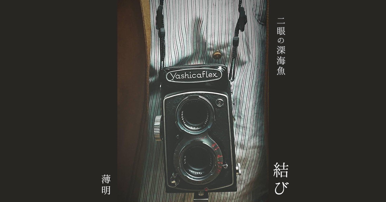 ちょっと可愛い　キラキラ感　YASHICA FLEX インテリアにも！ 爽やかな風に乗って キラキラ感2UP YASHICA FLEX インテリアにも