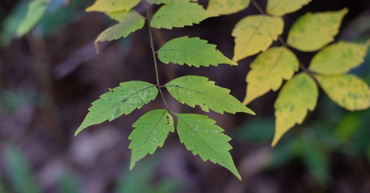 同志社女子大学推薦英語 1ーa 過去問対策 のりおの勉強日記 Note
