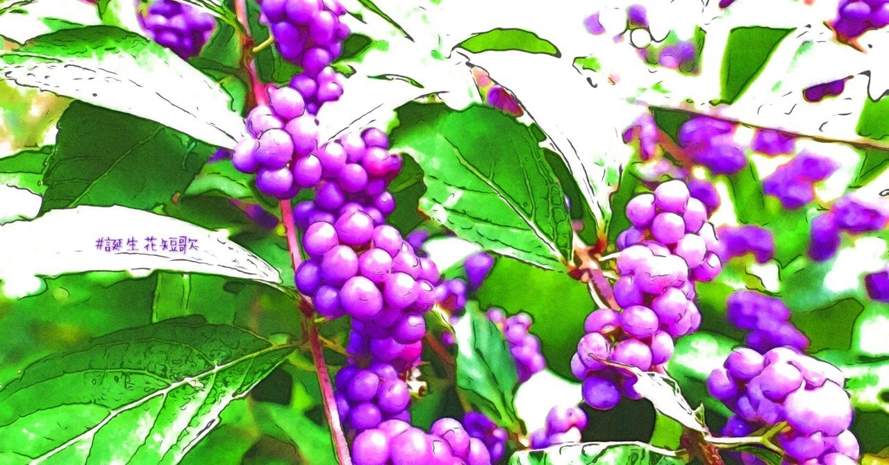 11月6日 誕生花は紫式部 誕生花短歌 御子柴 流歌 Note 11月6日 誕生花は紫式部 誕生花短歌 御子柴 流歌 Note