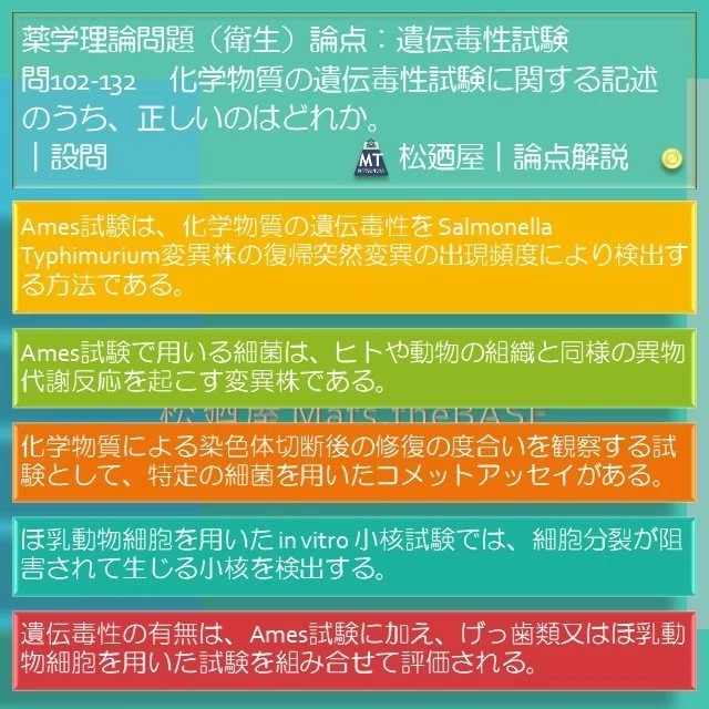 スライド1
