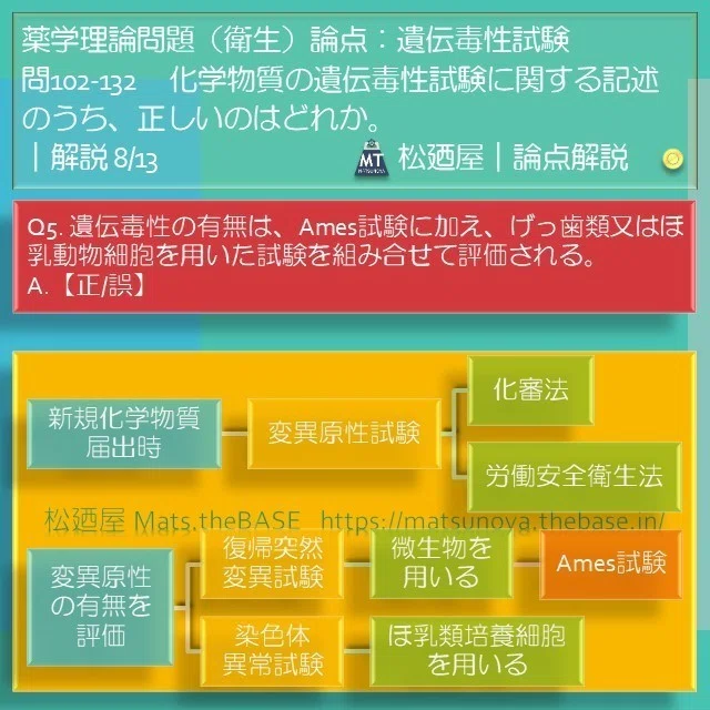スライド11