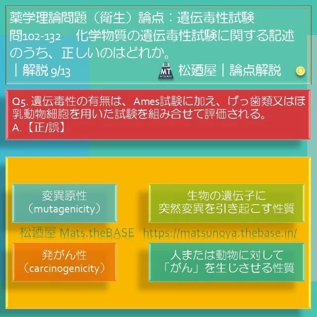 スライド12