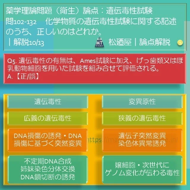 スライド13