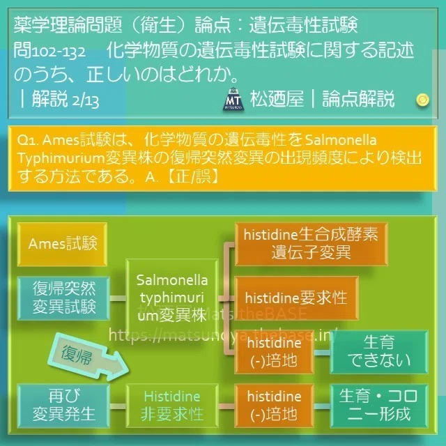 スライド4