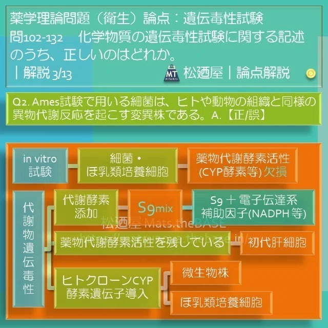 スライド5
