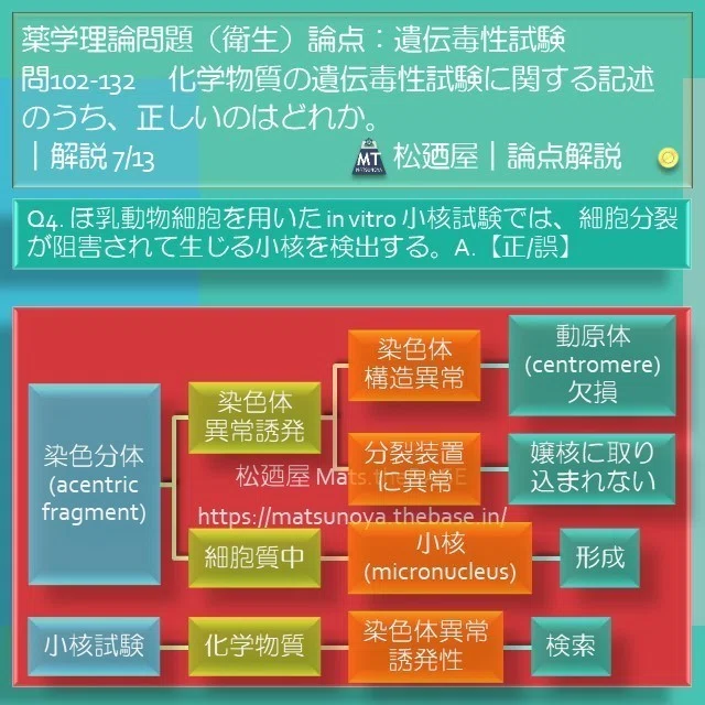 スライド10