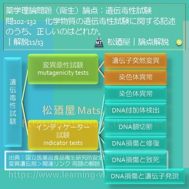 スライド15