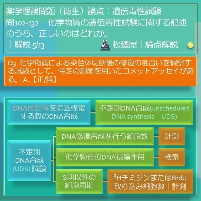 スライド8