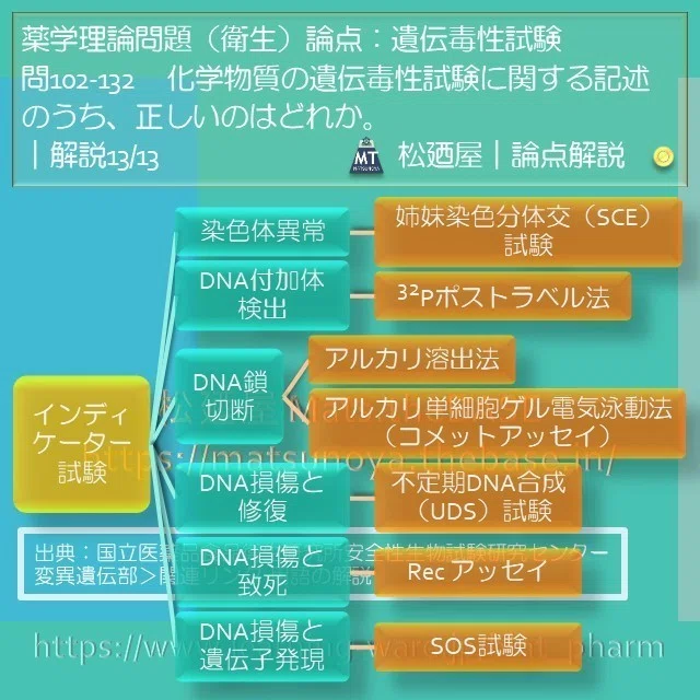 スライド17