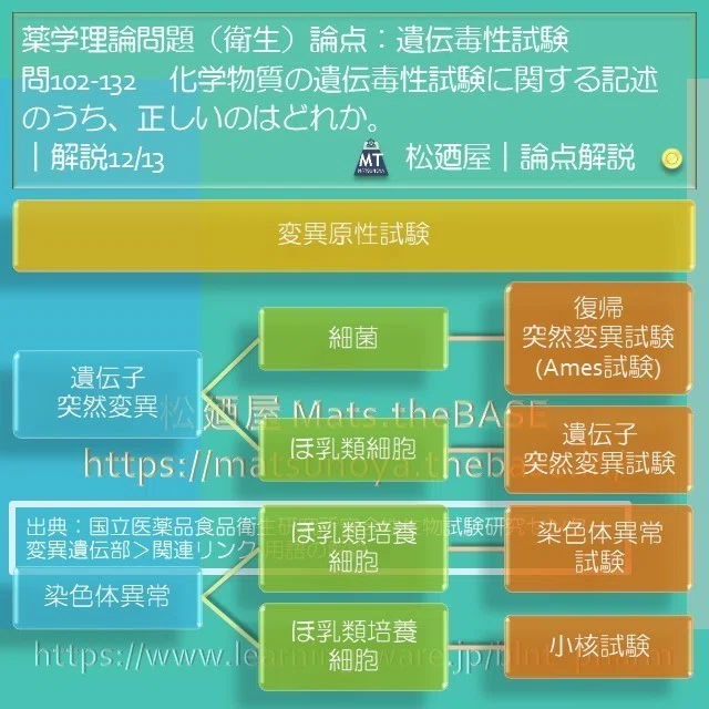 スライド16