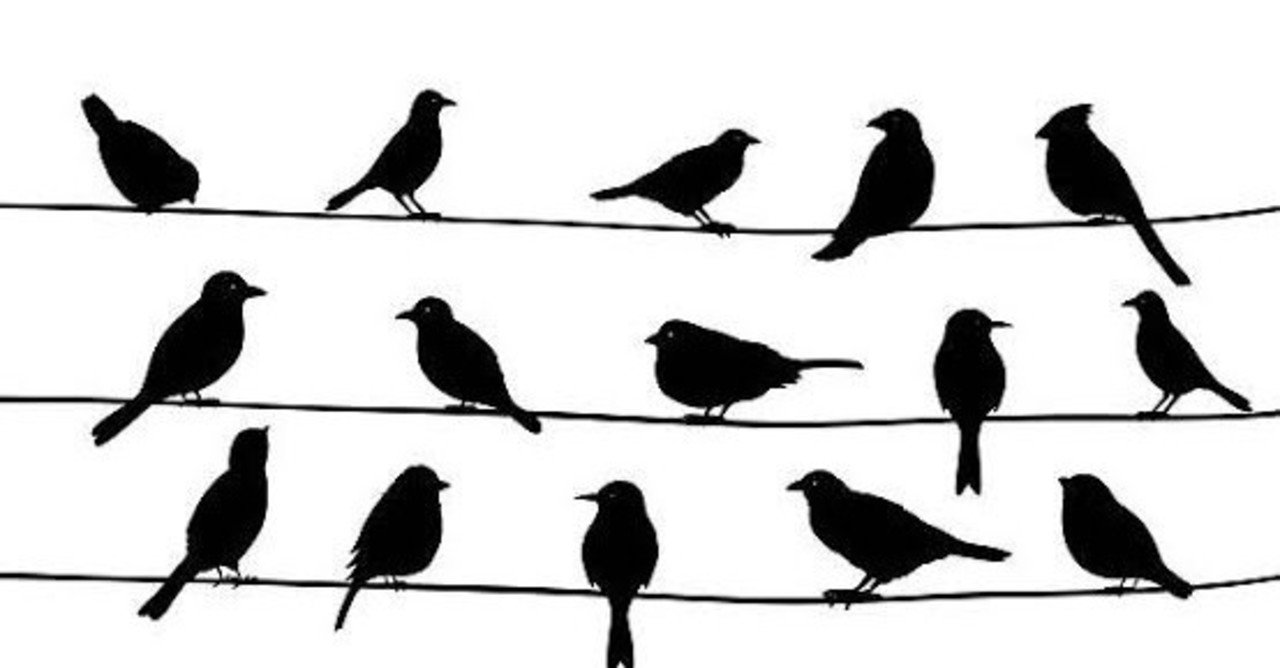 第1333回 野鳥の別名 翆野 大地 Note