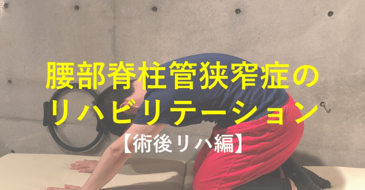 腰部脊柱管狭窄症のリハビリテーション 術後リハビリ編 片手スマホでpt国家試験対策 嘉本梨花 Note