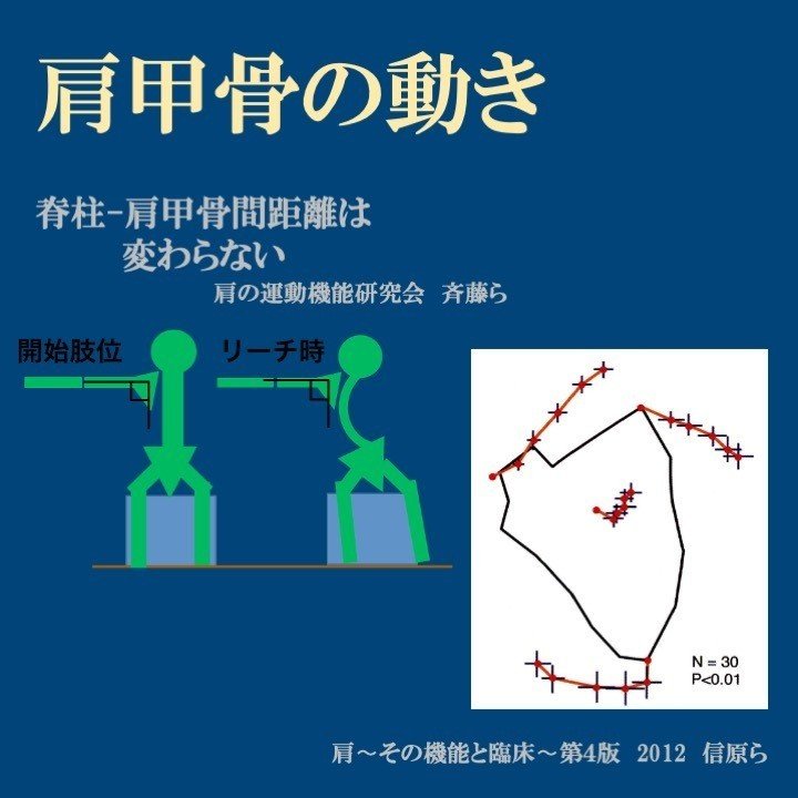 ナチュラルネイビー 最新整形外科学大系 肩関節・肩甲骨13 | www