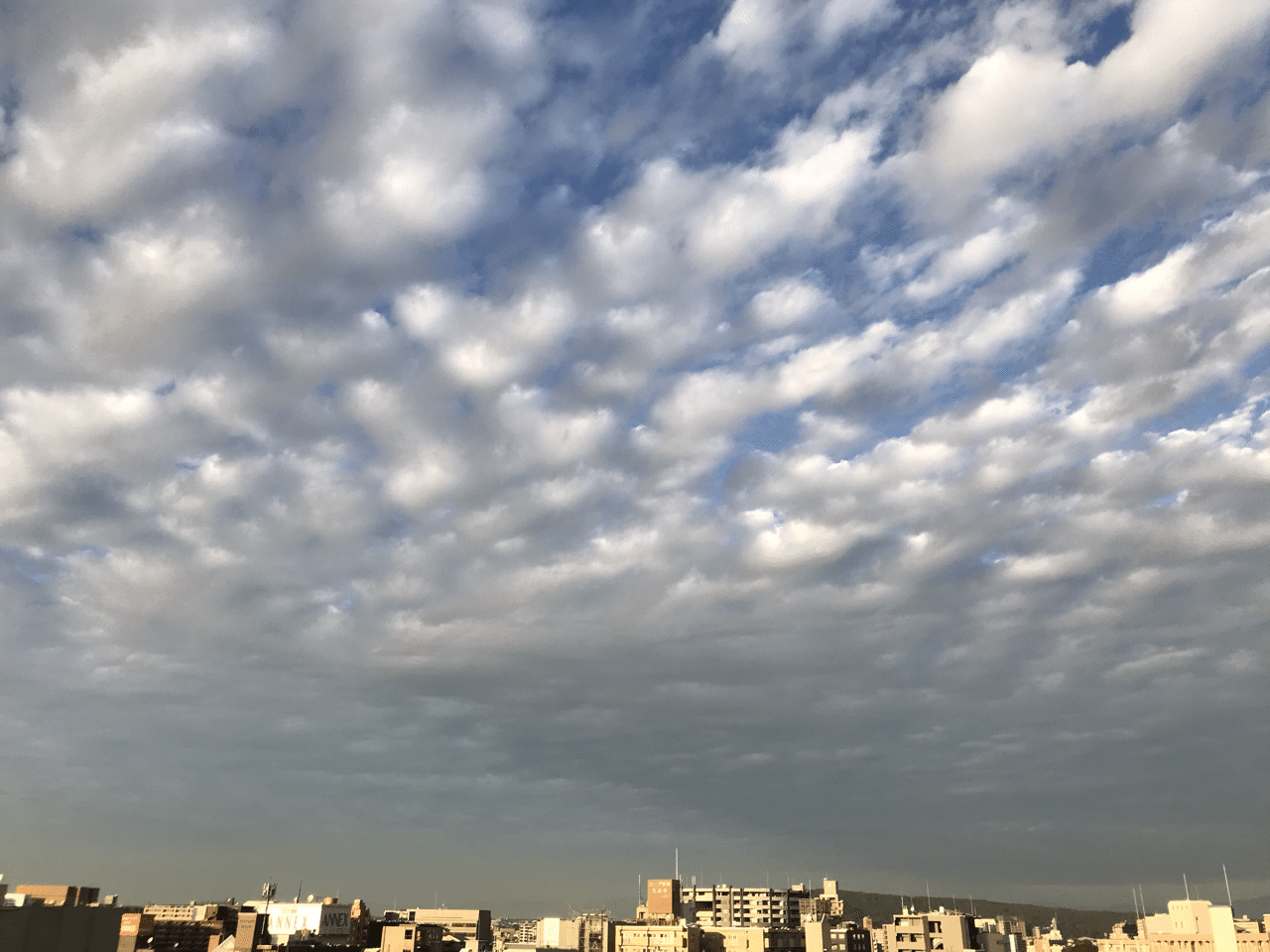 多彩な空模様を映し出す秋の空 これは羊雲 うろこ雲 似ているけど少し違う無数の雲 が連なっている よくよく見れば一個一個は違うのだけど 全体として見れば似たもの同士で美しい模様を織りなしている 自然は多様 病理医さのーと Note 多彩な空模様を映し出す秋の空 これは羊雲 うろこ雲 似ているけど少し違う無数の雲 が連なっている よくよく見れば一個一個は違うのだけど 全体として見れば似たもの同士で美しい模様を織りなしている 自然は多様 病理医さのーと Note