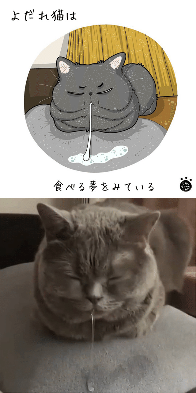インターネット猫 3 よだれ猫 ノリノリ Note
