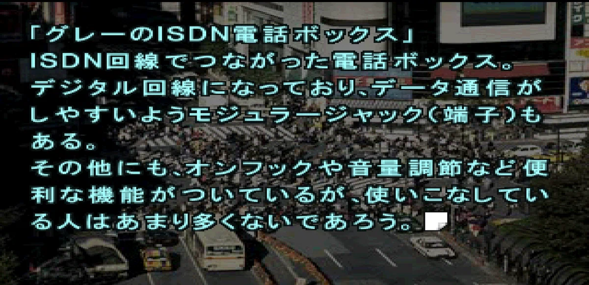 画像17