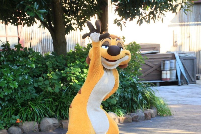 浅めのディズニーヲタクのgo To活用法 真 Note