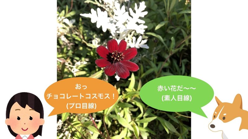 プロと行く植物園.014