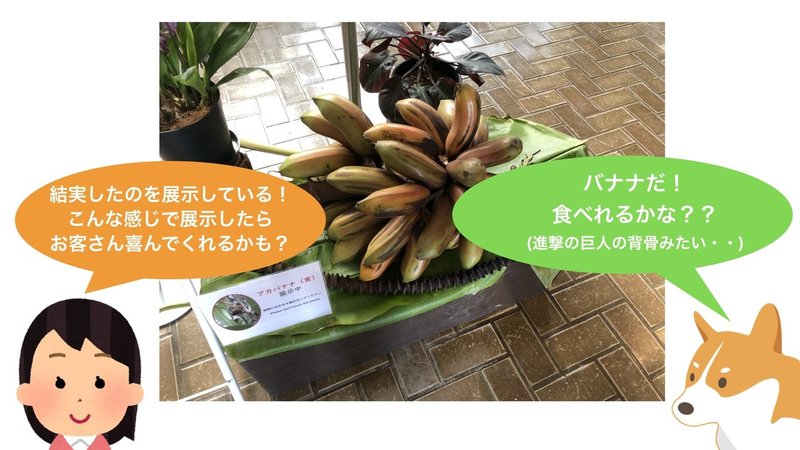 プロと行く植物園.018