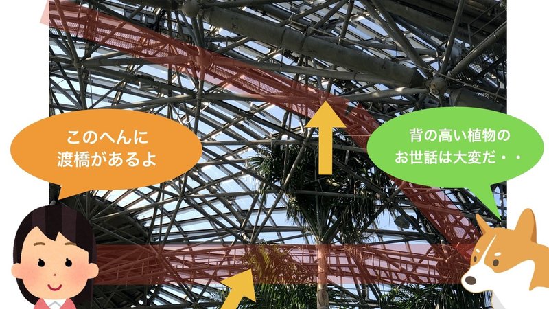 プロと行く植物園.030