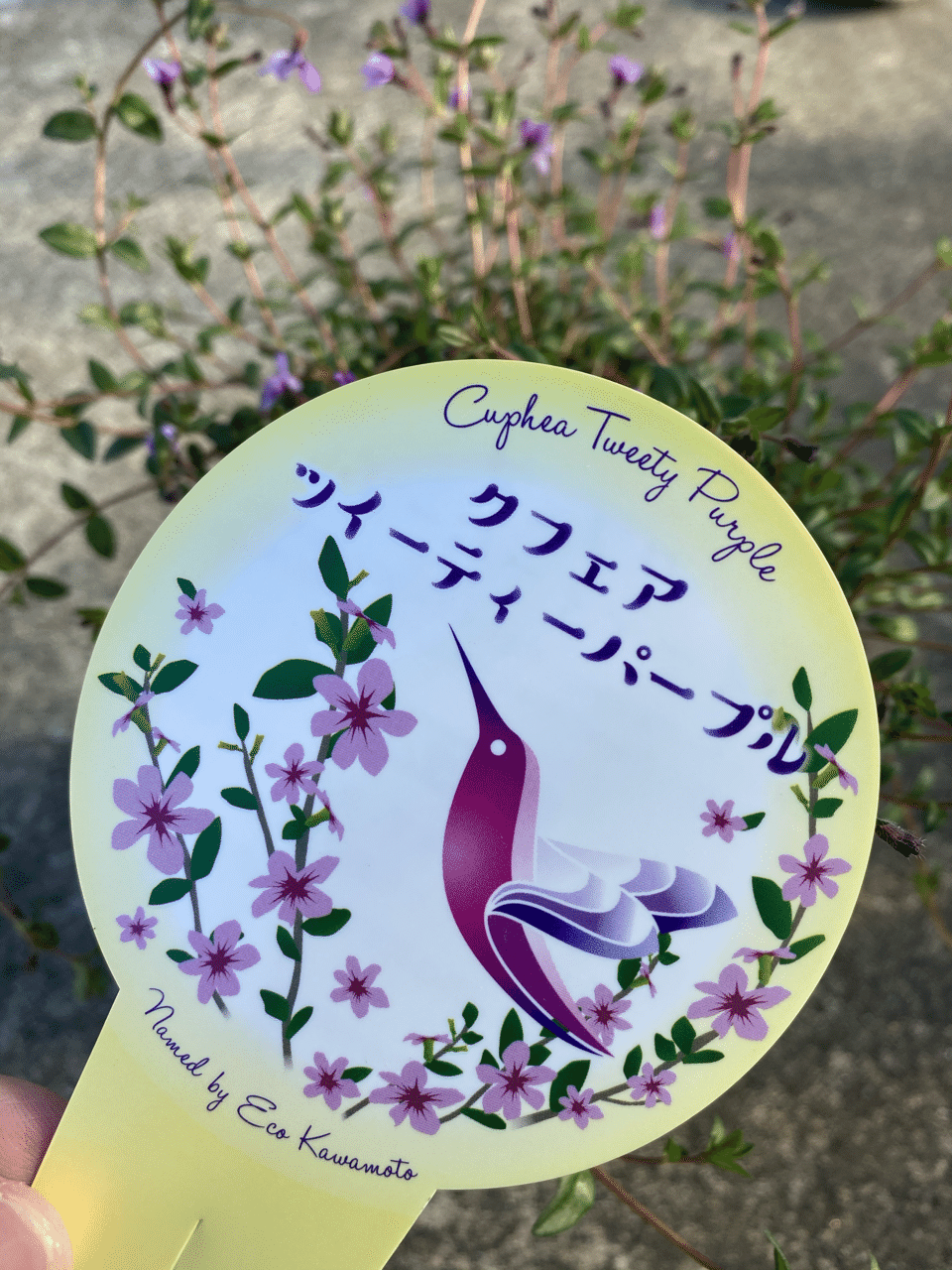 美しい言葉で溢れるように 川本えこ Note 美しい言葉で溢れるように 川本えこ Note