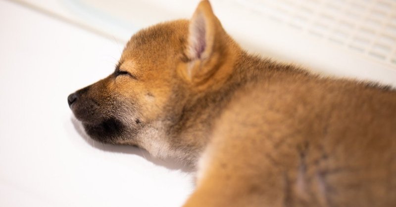 犬を撫でる様に 自分の顔を撫でる 冨田雄大 Note