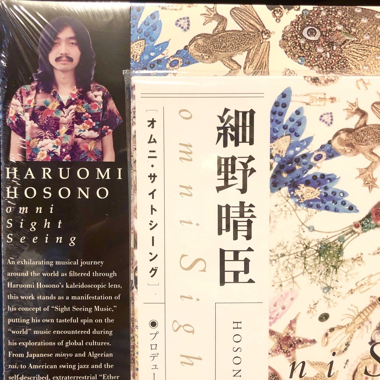 世界で一番好きな(のかもしれない)音楽⑤/細野晴臣 Omni sight seeing