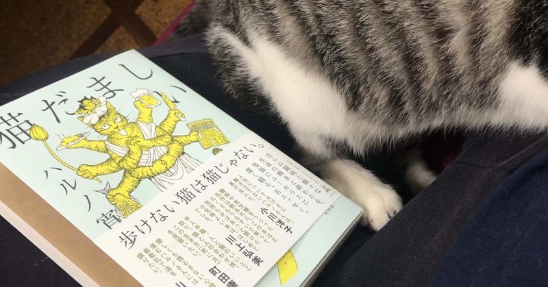 【本】『猫だましい』ハルノ宵子
