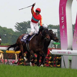 単複おんりー馬券師(100円均一)