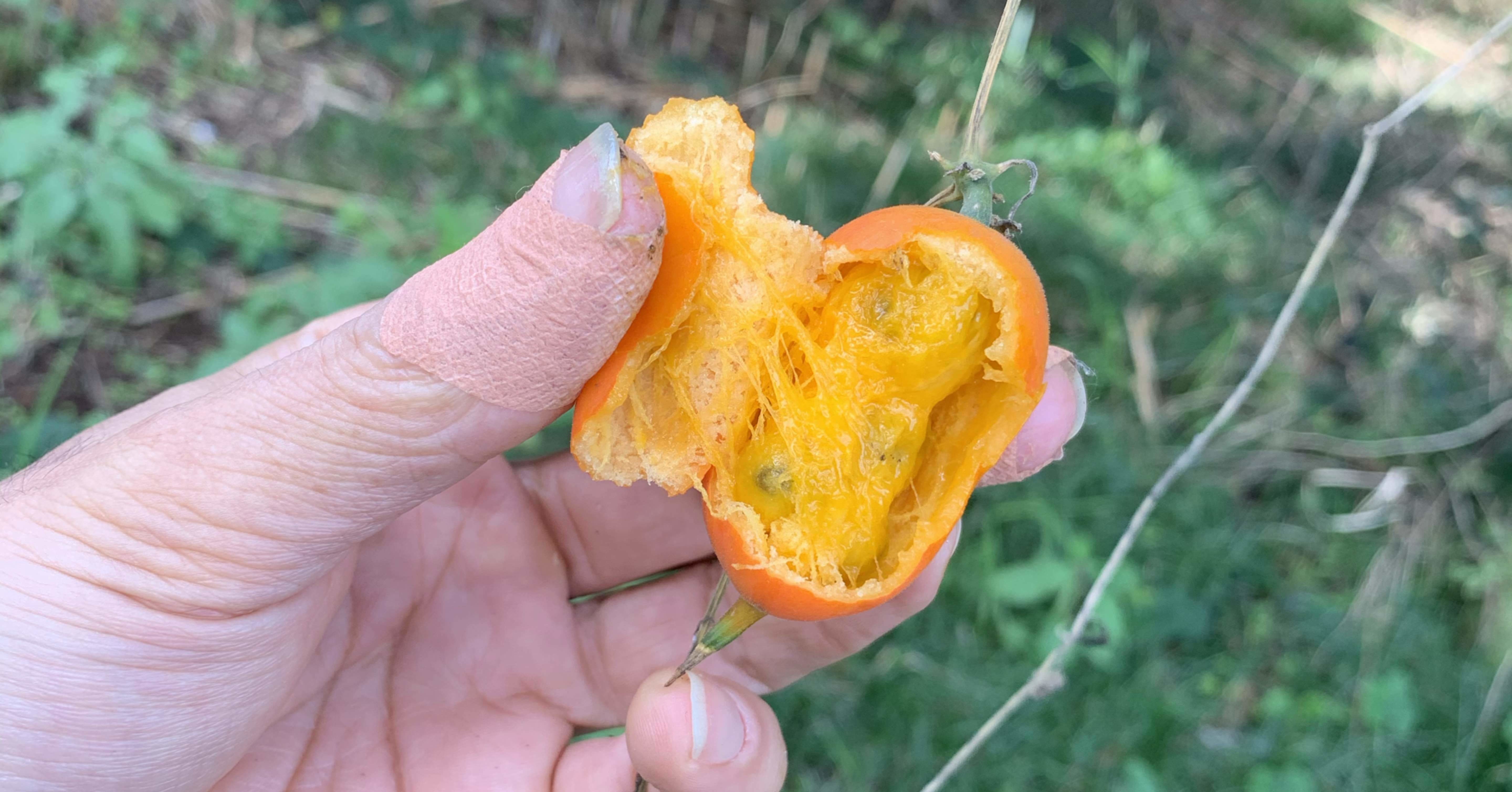 d7dc04ac3a96a556160a15b95d9758