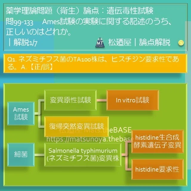 スライド4