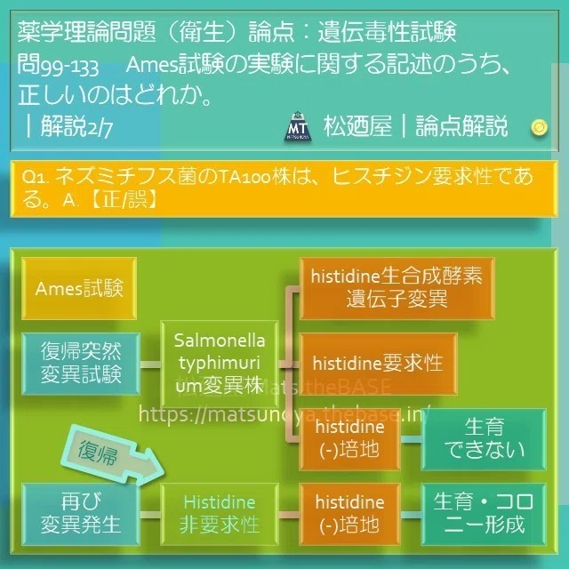 スライド5