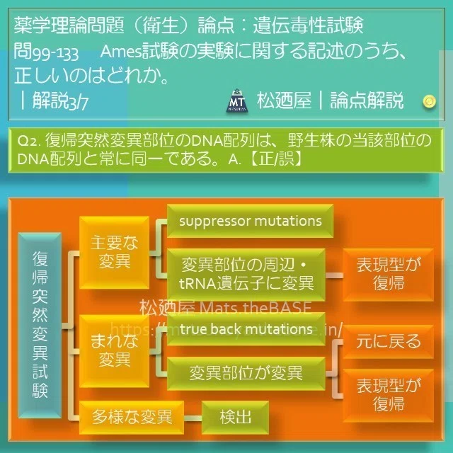 スライド6
