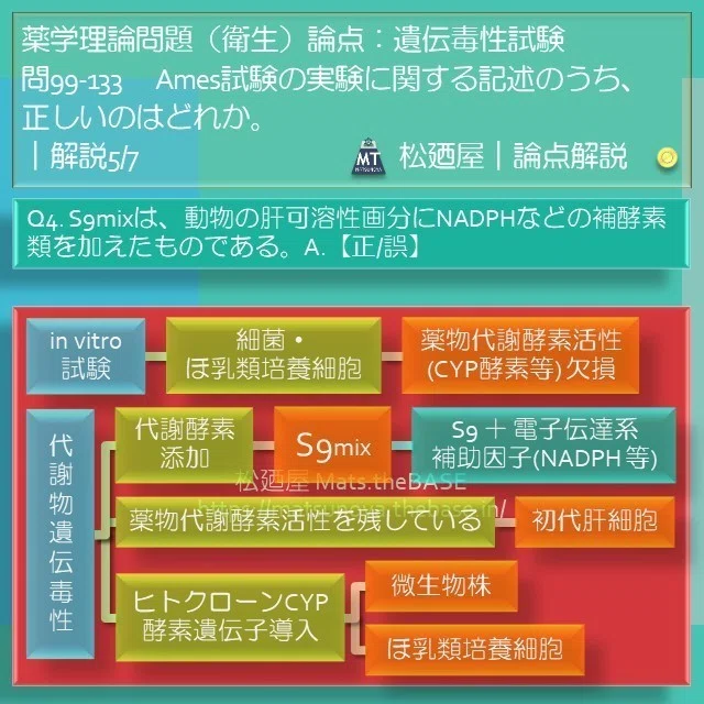 スライド11