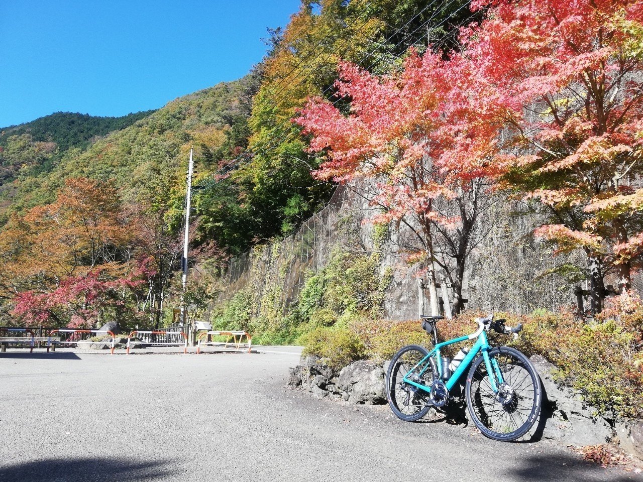 紅葉を楽しみつつポタ ゆぅ Note 紅葉を楽しみつつポタ ゆぅ Note