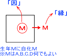 欽天四化派の紫微斗数の的中率が高い5つの理由｜田中宏明