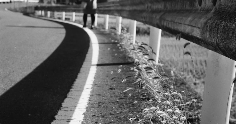 フィルム作例 現像所別 フィルム ひげこい Note