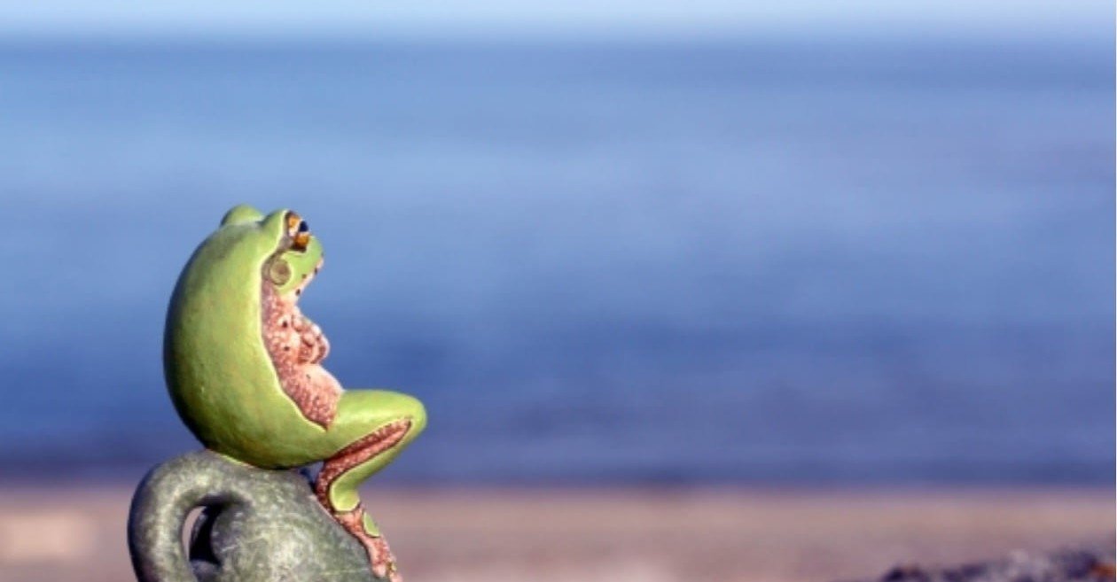 8bdd7f0c306ed694cd1f8c46968846