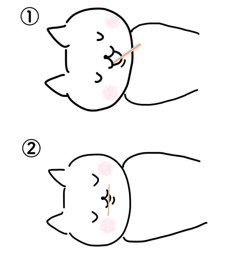 顎関節症と声の関係 解消方法 安田結衣 Note